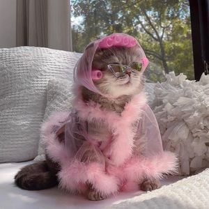 Meet your Posher, Becca